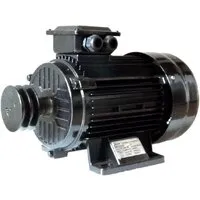 Двигатель ELAND EN-55/3