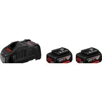 Аккумулятор с зарядным устройством Bosch 1600A00B8J (18В/5 а*ч + 14.4-18В)