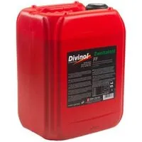 Моторное масло Divinol 2T 5л
