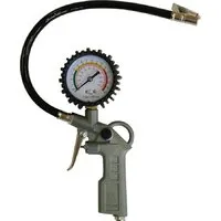 Пистолет для накачки шин Edon RP8037-2 1007010143