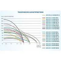 Скважинный насос A&P Ageless-3-2100/109-2/38-A
