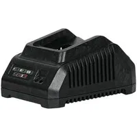Зарядное устройство DWT CSP202008XS (20В)