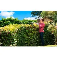 Кусторез Ryobi RHT5655RS