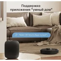 Робот-пылесос Dreame Bot D10s Pro (международная версия, черный)