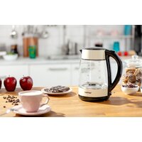 Электрический чайник Zelmer ZCK8011