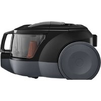 Пылесос LG VC5316NNTS