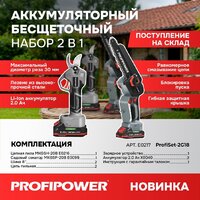 Наборы электроинструментов Profipower ProfiSet-2G20 E0217 (цепная пила, секатор, 2 АКБ)