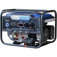 Бензиновый генератор ТСС SGG 2800EN
