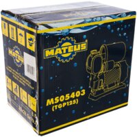 Насосная станция Mateus TGP 125
