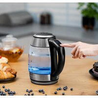 Электрический чайник Zelmer ZCK8030