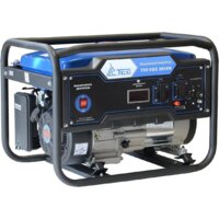 Бензиновый генератор ТСС SGG 2800N