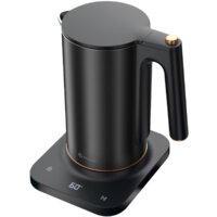 Электрический чайник Evolution KP22151L Thermocontrol