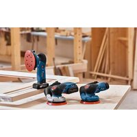 Эксцентриковая шлифмашина Bosch GEX 12V-125 Professional 0601372101 (без АКБ)