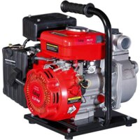 Мотопомпа Fubag PG 300