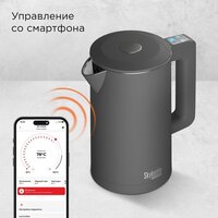 Электрический чайник Redmond (Редмонд) SkyKettle KM231S (серый)