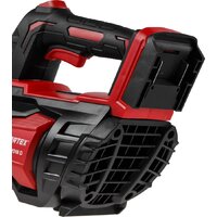 Садовая воздуходувка Wortex BB 2018 D ALL1 XLT Set 1333739 (с 1-им АКБ)