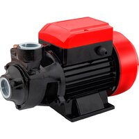 Самовсасывающий насос Edon QB60