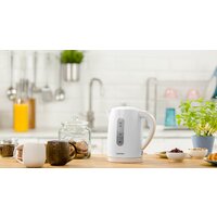 Электрический чайник Zelmer ZCK7616I