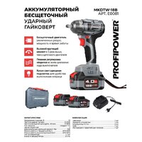 Гайковерт Profipower MKDTW-18B E0081 (с 2-мя АКБ, кейс)