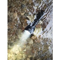 Фонарь Armytek Viking Pro Magnet USB (белый)