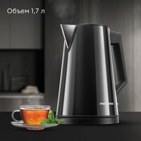 Электрический чайник Redmond (Редмонд) KM244 (черный)