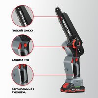 Наборы электроинструментов Profipower ProfiSet-2G20 E0217 (цепная пила, секатор, 2 АКБ)