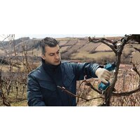 Секатор Bosch Pro Pruner Professional 06019K1021 (с 2-мя АКБ)
