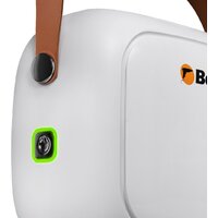 Пароочиститель Bort BDR-3000-RR