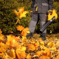 Ручная воздуходувка Denzel RB180-36 59610 (с 2-мя АКБ) Ручная воздуходувка Denzel RB180-36 59610 (с 2-мя АКБ)