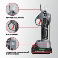 Наборы электроинструментов Profipower ProfiSet-2G20 E0217 (цепная пила, секатор, 2 АКБ)