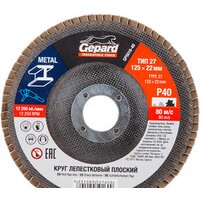 Шлифовальный круг Gepard GP5016-120