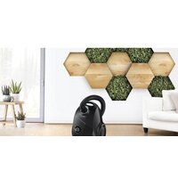 Пылесос Bosch Serie 2 BGLS2BA2