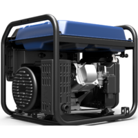 Бензиновый генератор ТСС SGG 4200EI