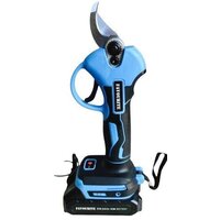 Секатор Favourite НЖ 21 (с 1-им АКБ, кейс)