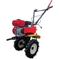 Мотокультиватор бензиновый Redbo RTR-7/1000