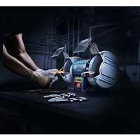 Заточный станок Bosch GBG 60-20 Professional