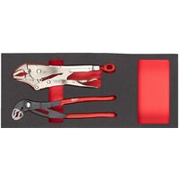 Набор пассатижей Milwaukee 4932493255 (2 предмета)