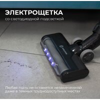 Пылесос Evolution Smart Clean DS2511