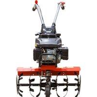 Мотокультиватор бензиновый FERMER FM-511MX