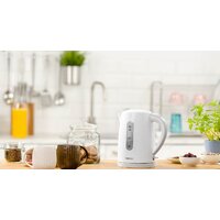 Электрический чайник Zelmer ZCK7616S