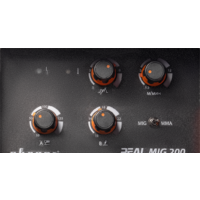 Сварочный инвертор Сварог Real MIG 200 N24002N