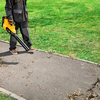 Ручная воздуходувка Denzel RB180-36 59610 (с 2-мя АКБ) Ручная воздуходувка Denzel RB180-36 59610 (с 2-мя АКБ)