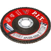 Шлифовальный круг P.I.T. APLS01-12512