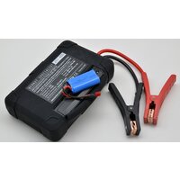 Портативное пусковое устройство Беркут JSC-600C