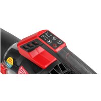 Садовая воздуходувка Wortex BB 2536 D ALL1 0333234 (без АКБ)