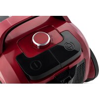 Пылесос Gorenje VC2202G4AHR