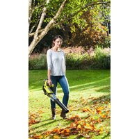 Ручная воздуходувка Ryobi OBL18JB (без АКБ)