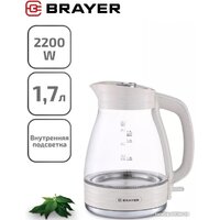 Электрический чайник Brayer BR1066
