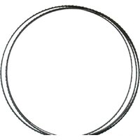 Пильное полотно Ryobi RAKBS6TPI 5132003385