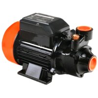 Самовсасывающий насос Patriot QB60